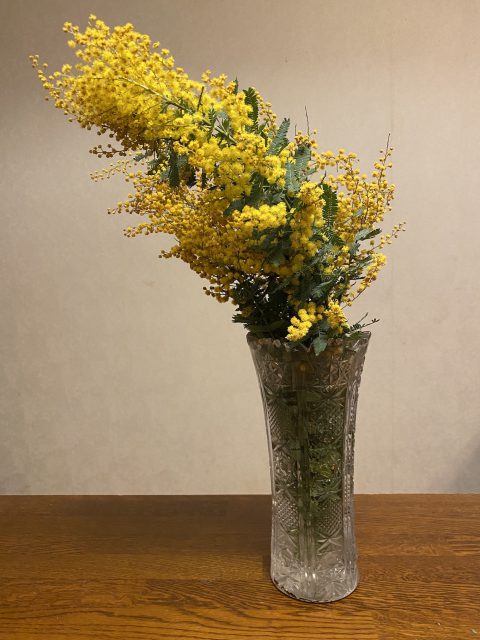 ミモザの花束